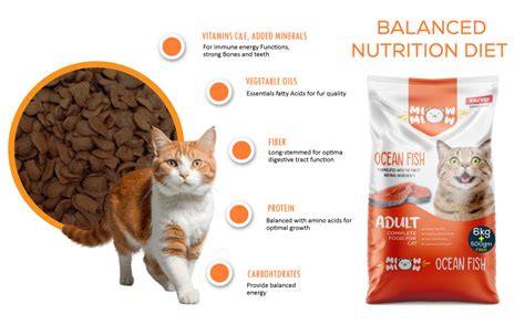 TAIYO MIOW MIOW Adult Ocean Fish, Complete Food for Cat | Formulated ...