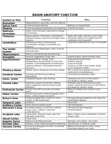 Brain Function 的图像结果