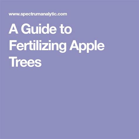 Image result for Fertilizing Apple Trees Guide