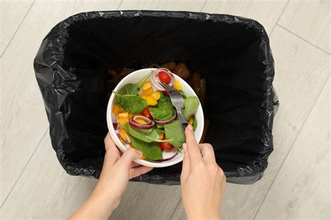 Biodegradable Waste Example 的图像结果