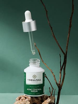 BE SOULFULL Acne Control Serum with 2% Salicylic Acid, 1% Zinc PCA ...