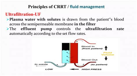 CRRT Recirculation 的图像结果