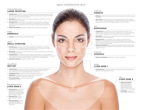 Image result for Skin Tissue Texture Mapping