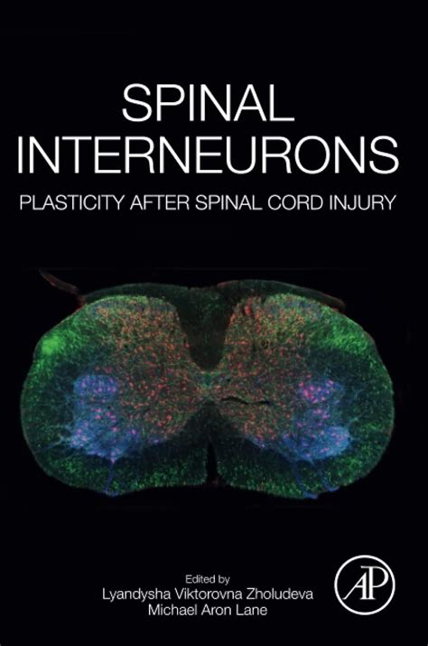 Buy Spinal Interneurons: Plasticity after Spinal Cord Injury Book ...