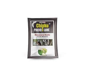 Chipku-Bucket Trap for Rhinoceros Beetle Rhinoceros Beetle (Oryctes ...