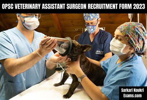 OPSC Veterinary Assistant Surgeon Recruitment Form 2023 | Salary Up To ...