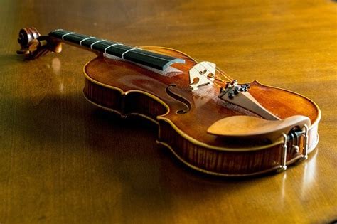 Image result for Violin
