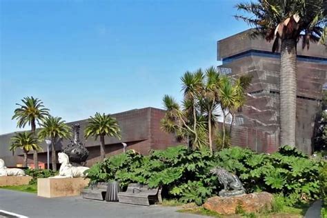 Museums In San Francisco: Explore The City’s Art & Science