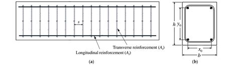 Longitudinal Section and Cross Section 的图像结果