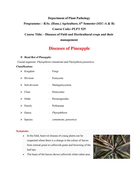 Diseases of Pineapple & Jackfruit - Department of Plant Pathology ...