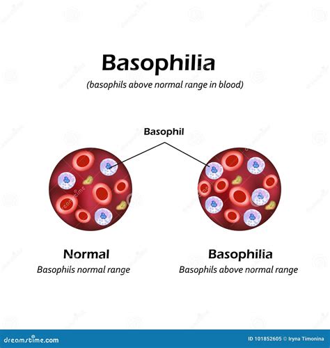 Blood Test Basophils