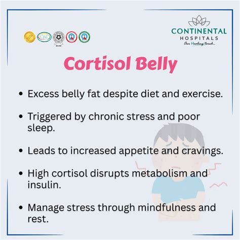 Cortisol Belly Fat: Signs and What Triggers It