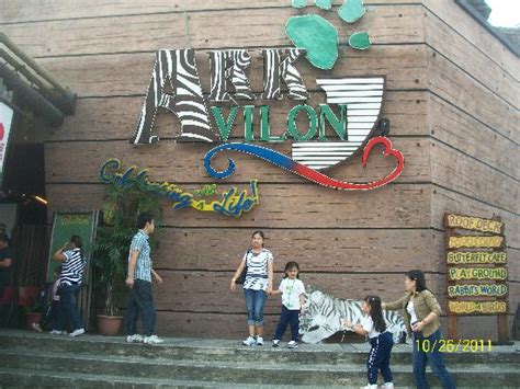 Ark Avilon Zoo (Pasig) - 2020 What to Know Before You Go (with Photos ...