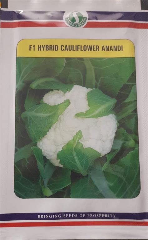 Mahyco Anandi Cauliflower