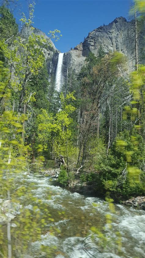 Photo Album – Olive Vista STEAM Magnet – Olive Vista Middle School