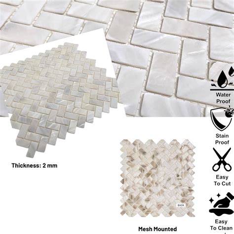 Tenedos Genuine Mother of Pearl White Oyster India | Ubuy