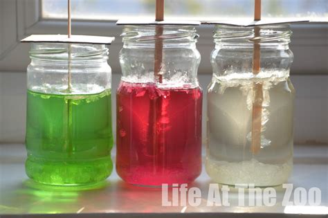 Crystallisation in Small Scale Using Sugar 的图像结果