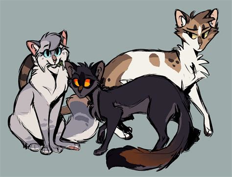 A Starless Clan Theories by Streampaw – BlogClan