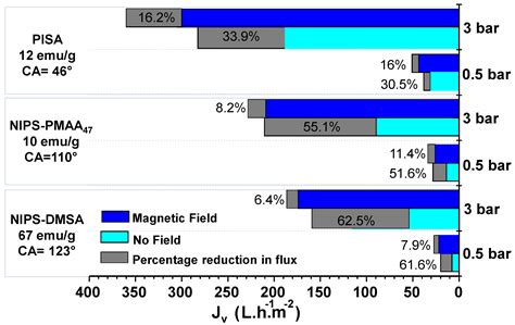 Block Copolymer-Based Magnetic Mixed Matrix Membranes—Effect of ...