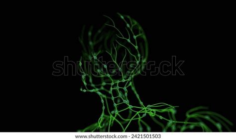 Lymphatic System Animation 的图像结果