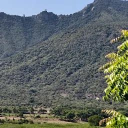 Alamaram Sri Aranganathar Samy Ulagalanda Perumal Temple - Hindu temple ...