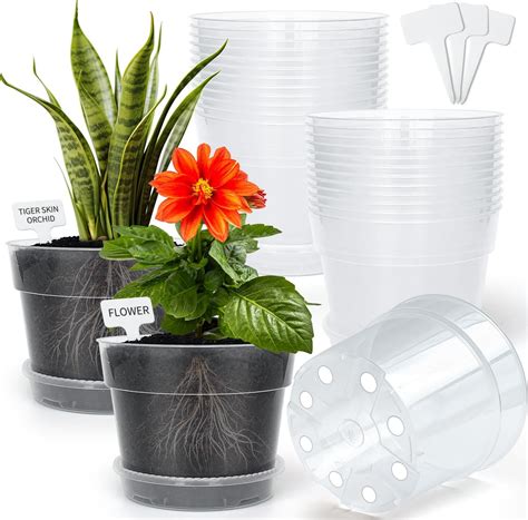 Amazon.com: BTPLASTIK Clear Plastic Nursery Pots for Plants, 6 Inch ...