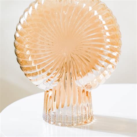 Armadillo Glass Vase Amber Large Online - Premium Vase | Nestasia