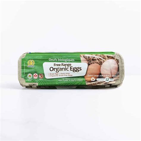 Sungiven Organic Free Range Eggs XL (12 pcs) - Sungiven Foods