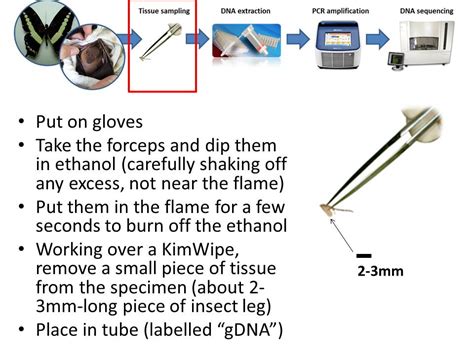 Image result for Barcoding DNA Sample