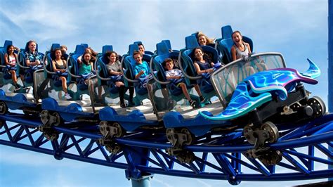 Manta SeaWorld San Diego: Everything You Need To Know