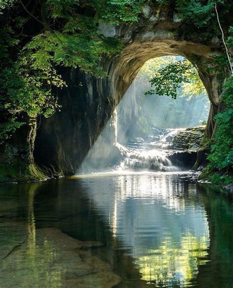 Real Nature 的图像结果