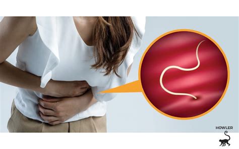 O Doutor Chegou: Parasitas Intestinais Invisíveis Causadores de ...