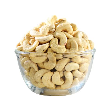 Cashew W240 Dry Roasted – palmtreeshopping