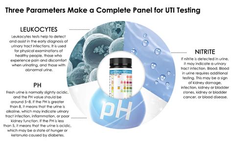 HANNEA® 100-Count Urinalysis Strips, Quick UTIs Urine Test Dipsticks ...
