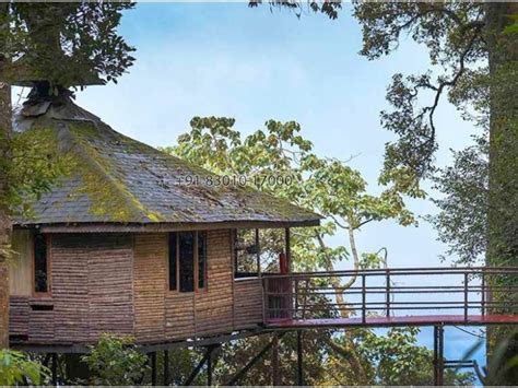 Wonderful Tree House in Munnar - Munnar Hosted By Mobin (MU1617 ...