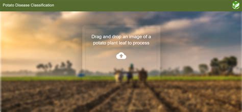 Plant Disease Classification Using CNN 的图像结果