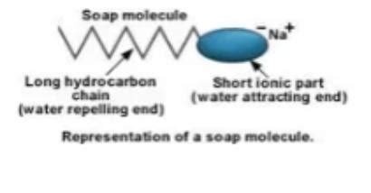 (a) What is a soap? Name one soap. (b) Describe the structure of a soap ...