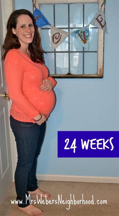 24 Weeks Pregnant - Mrs. Weber's Neighborhood