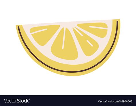 Image result for Lemon Slice Vector