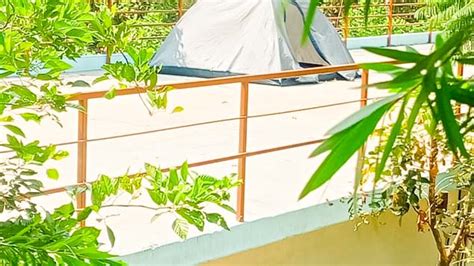 Wild Valley Aclat Meadows Resorts Inn Sakleshpur - Resorts Sakleshpur