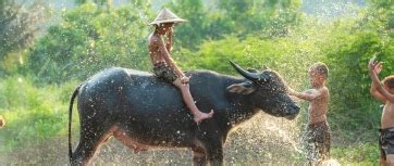 Korin People in Vietnam 的图像结果