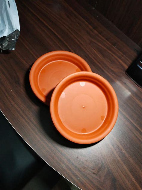 Pepper Agro Plastic Planter Tray, Black, 5 inch, 6 Pieces : Amazon.in ...