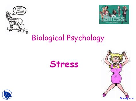 Biological Stress Examples 的图像结果