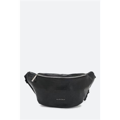 Buy Allen Solly Women Black Textured Casual Waist Bag Online