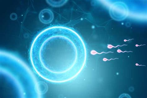Sperm Freezing & Preservation Center in Noida | Kailash IVF