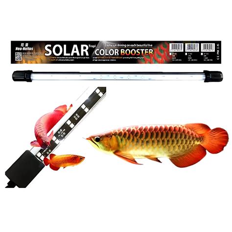 VAYINATO Neo Helios ST-920 Solar Colour Booster Submersible LED Light ...