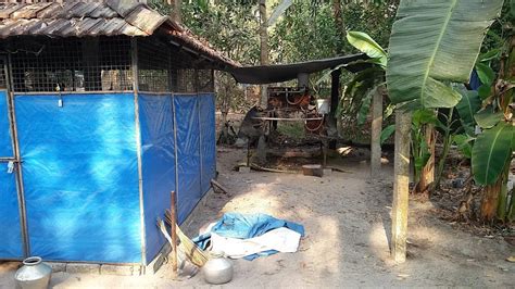 Best Top Rated Meat packer in Cherthala South, Kerala, India | Yappe.in