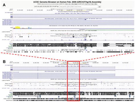 Actionable Genomics in Clinical Practice: Paradigmatic Case Reports of ...