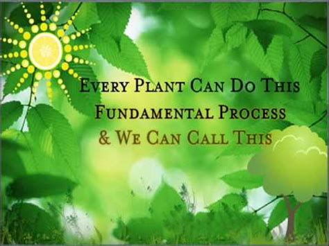 Natural Science 的图像结果