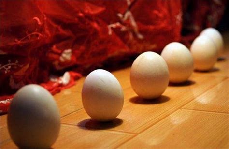 立春立鸡蛋成功的原理_日历网